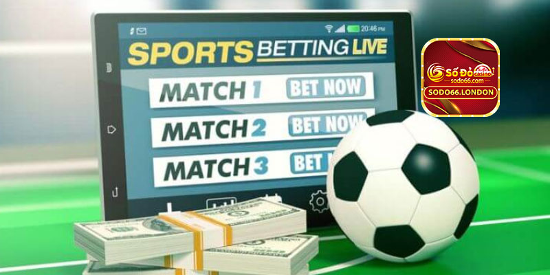 Hiểu về nguyên lý Odds thay đổi trong cá độ bóng đá