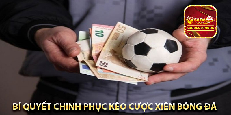bí quyết chinh phục kèo cược xiên bóng đá