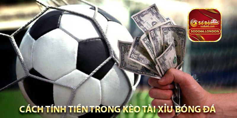 cách tính tiền trong kèo tài xỉu bóng đá