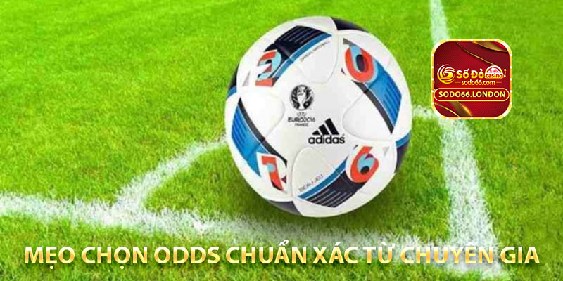 mẹo chọn odds chuẩn xác từ chuyên gia