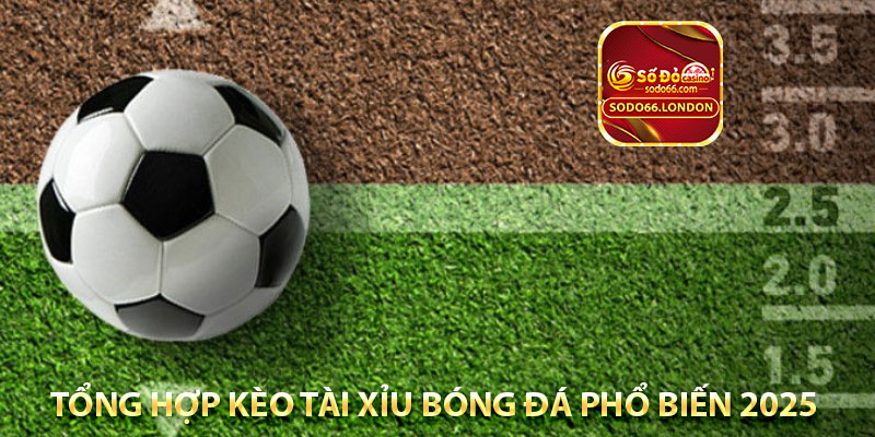 tổng hợp kèo tài xỉu bóng đá phổ biến 2025